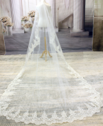 Long Veil - Trim with embroidery lace - 120" - VL-VM5003-120IV