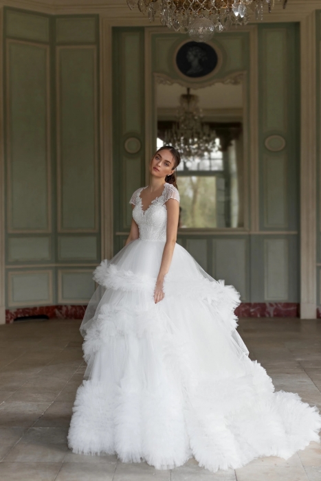 Luxury Wedding Dress - Richness - LPLD-3211.00.17